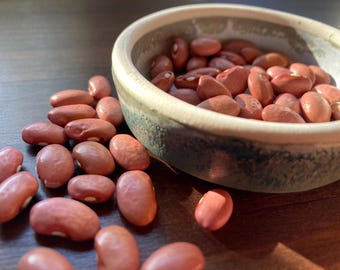 Nasiona fasoli heirloom – odmiana „Californian Pink Stutter”