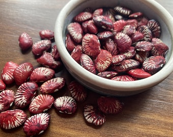 Nasiona fasoli lima Andromeda