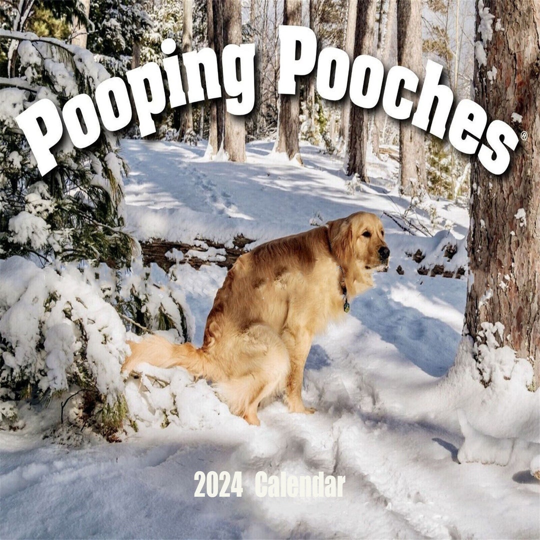 Pooping Pooches Calendar 2024 White Elephant Gag Gift Etsy UK