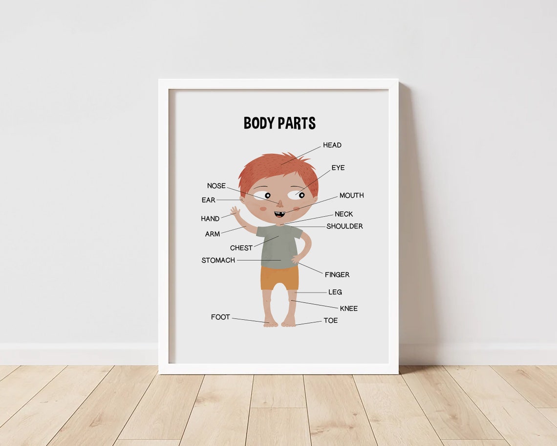 Body Parts Poster, Educational Poster, Homeschool Wall Art, Montessori ...