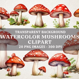 Set von 20 - Aquarell Pilz Clipart niedlichen Wald Natur Fliegenpilz Clip Art PNG Format sofortiger Download für kommerzielle Nutzung