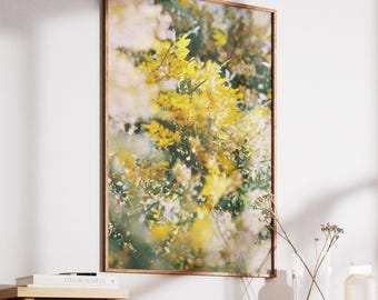 Mornington - Digital Download - Film Photography