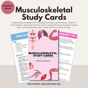 Musculoskeletal Study Cards: Anatomy & Exercise Physiology (PDF Download)