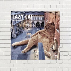 May include: A square wall calendar titled LAZY CAT Calendar 2027 featuring a surreal, large-scale ginger cat lounging across a European-style stone plaza with arched buildings and small figures of people walking below in the background.