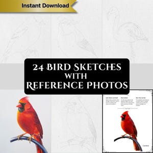Colored Pencil Practice: 24 Hand-Drawn Bird Sketches | Minimalist Coloring Book | Artist Workbook (PDF Download)