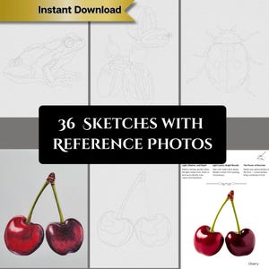 色鉛筆の練習：アーティストのための手描きスケッチ 36 点のミニマリスト塗り絵ブック（PDF ダウンロード）