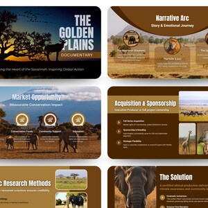 Op de afbeelding: Een presentatie van zes dia's getiteld The Golden Plains Documentary, met natuurfotografie van olifanten, leeuwen en cheeta's, en tekstsecties over narratieve bogen, marktkansen, acquisitie en onderzoeksmethoden.