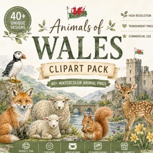 Peut inclure: Pack de cliparts aquarelle "Animaux du Pays de Galles" avec des illustrations d'animaux gallois, dont un renard, des moutons, un écureuil et un cerf. Le texte indique "40+ Unique Designs" et "40+ Watercolor Animal PNGs". Le drapeau gallois est également visible.