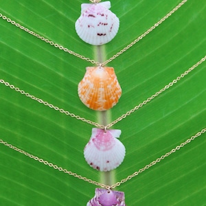 May include: Four gold necklaces with different colored seashell pendants. The shells are pink, orange, white, and purple.