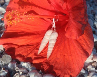 Auger Shell Earrings