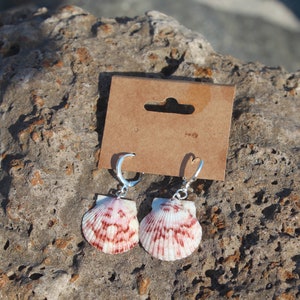 Pink Scallop Shell Earrings