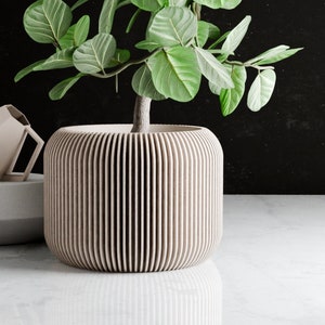 Puede incluir: Una planta verde de hojas en una maceta de color beige claro con nervaduras. La maceta está hecha de madera y tiene forma cilíndrica.