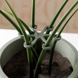 Climbing Plant Support Stakes – 8-Pack Multi-Sizes Stem Supports for Monstera, Philodendron, Alocasia & More | Modern Trellis Clip Accessory