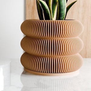 May include: Two wooden plant pots with a unique, wavy design. The larger pot is brown and holds a green snake plant. The smaller pot is brown and holds a green succulent. Both pots are on a white marble surface.