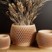see more listings in the VASE × PLANTERS ↓ section