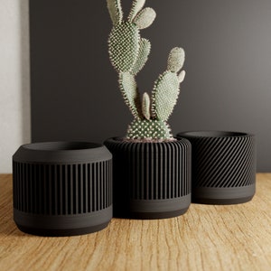May include: Three black cylindrical planters with a ribbed design. A cactus plant with green stems and white spines is in the center planter.