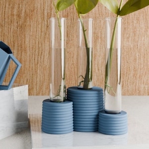 May include: Three glass cylinders with blue ceramic bases hold leafy green plant cuttings. The cylinders are arranged in a row on a light wood surface.