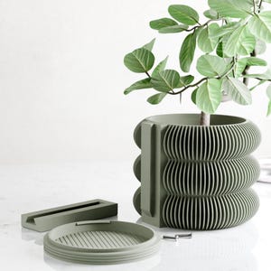 May include: A sage green, modern plant pot with a unique, ribbed design. The pot is holding a leafy green plant. A matching saucer and a rectangular piece are next to the pot. The pot is approximately 10 inches tall.