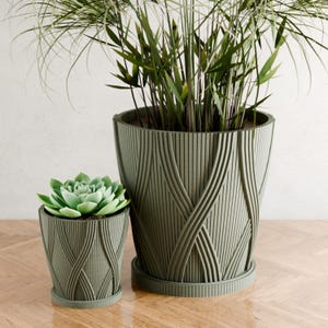 May include: Two sage green planters with a vertical ribbed texture and an overlapping curved pattern. The larger planter holds a tall, thin-leafed plant, while the smaller planter contains a light green succulent. Both pots have matching saucers.