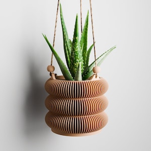 May include: A hanging wooden planter with a layered, ribbed design, holding a vibrant green aloe vera plant. The planter is suspended by brown rope and features wooden beads. The plant has long, pointed leaves with white spots.