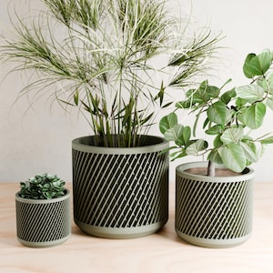 May include: Three green potted plants with a geometric pattern on the pots. The plants are on a light wood surface.