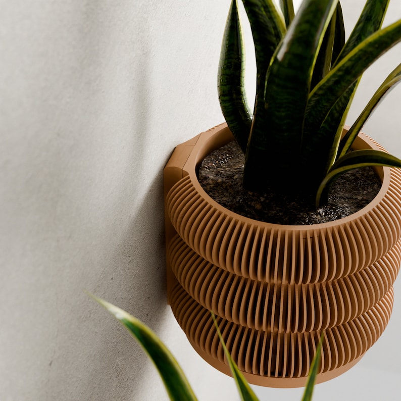 May include: A brown, layered, wall-mounted planter with a plant. The planter has a unique design with horizontal, curved lines. The plant has long, green leaves with yellow stripes. The planter is mounted on a light gray wall.