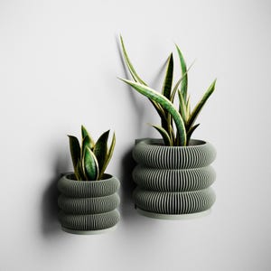 May include: Two modern, gray wall-mounted planters with green and yellow snake plants. The planters have a unique, ribbed design and are of different sizes, offering a stylish way to display greenery indoors or outdoors.