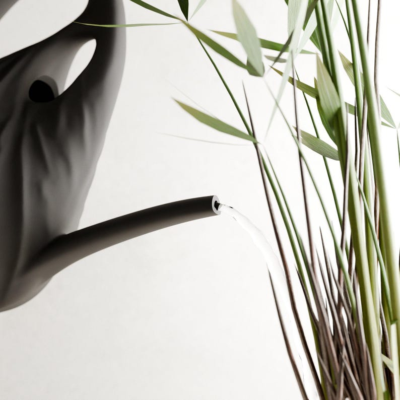 SWIRL Watering Can