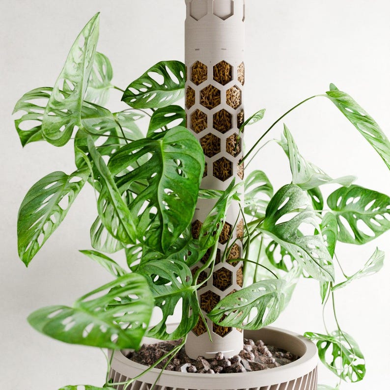 Self Watering Honeycomb Moss Pole MODULAR