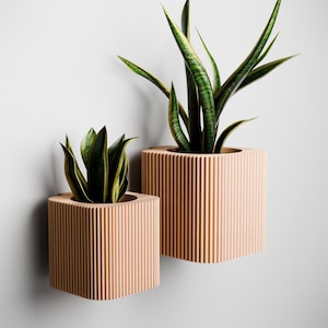 May include: Two peach-colored, ribbed, square planters with green plants. The planters are mounted on a white wall. The plants have long, green leaves with yellow edges. The planters are different sizes, with the larger one on the right.