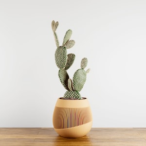 Elegant Planter &quot;LUMINQUE&quot; - WOOD - Original and Unique Planter - Perfect for Gifts