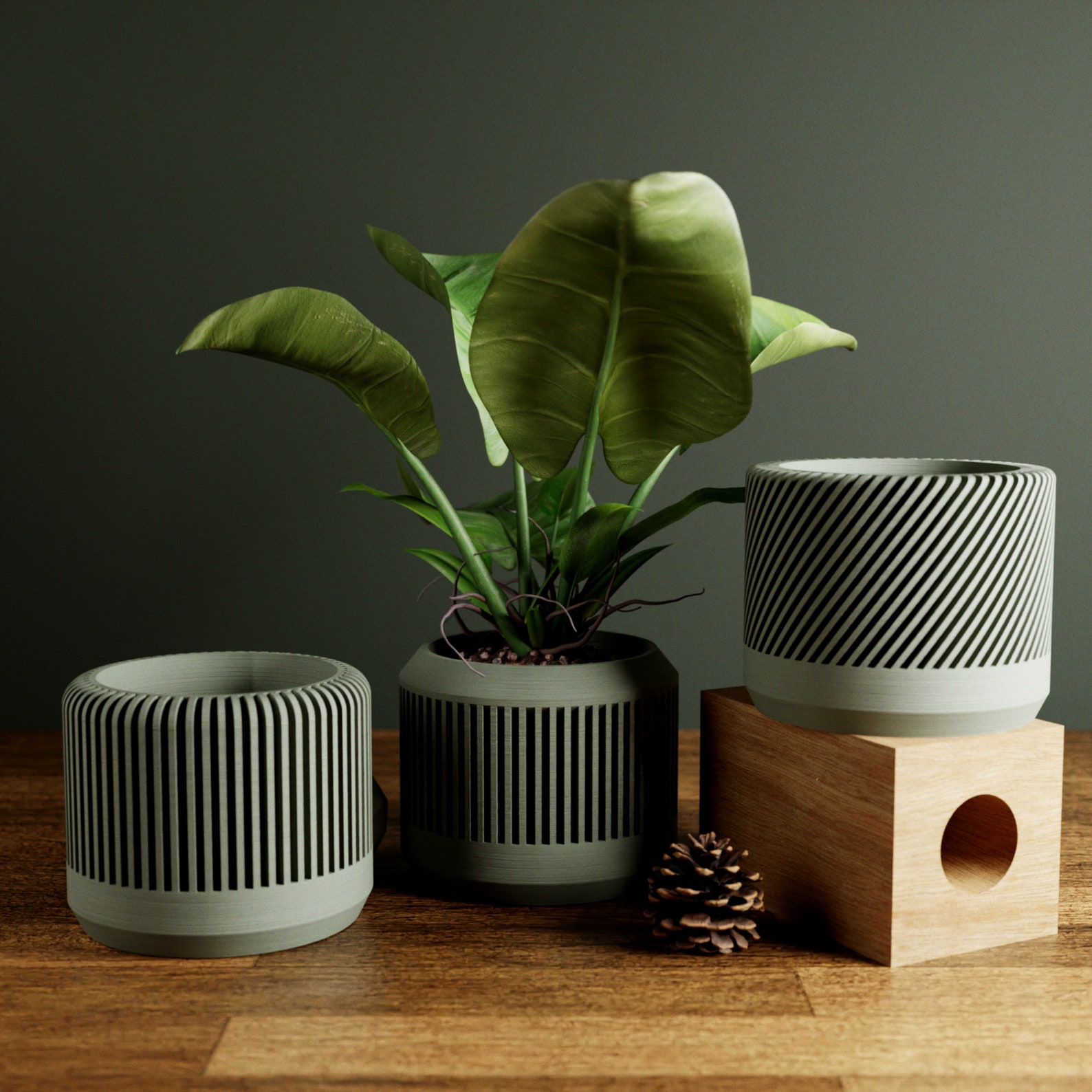 Photo inspiration: Visual Reference: Set Of 3 Planters With Drainage Modern Minimalist Design 9