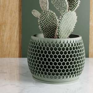 May include: A green cactus plant in a green hexagonal planter. The planter has a honeycomb design.