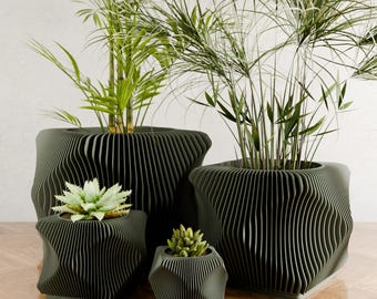 May include: Four dark grey, modern planters of varying sizes, each with a unique, wavy design. The planters hold green plants, including succulents and taller, leafy varieties. The arrangement is on a wooden surface.