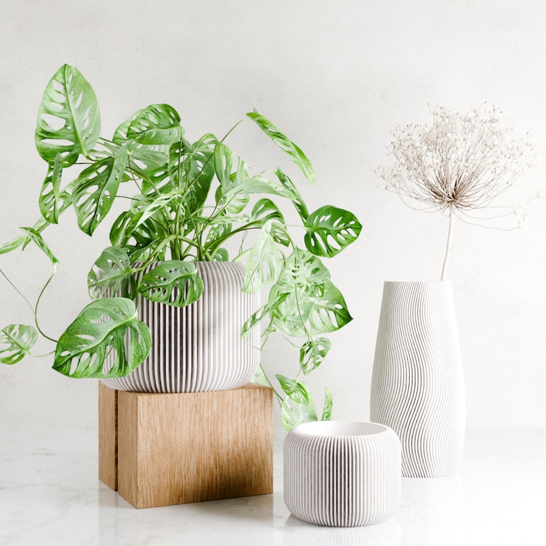 Puede incluir: Tres macetas de cer&aacute;mica blanca con textura acanalada. La maceta de la izquierda contiene una planta de monstera verde. La maceta del medio est&aacute; sobre un soporte de madera. La maceta de la derecha es m&aacute;s alta y tiene una textura ondulada.