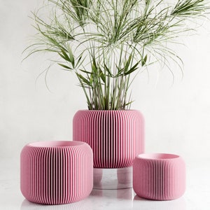 Puede incluir: Tres macetas de cer&aacute;mica de color rosa con nervaduras, con una planta verde en la maceta m&aacute;s grande. Las macetas son de diferentes tama&ntilde;os y est&aacute;n dispuestas en fila.