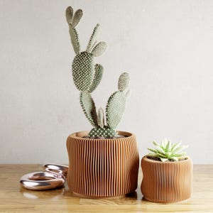Bubbly Planter | 3D Printed Planter with Drip Tray, Drainage, and Matching Saucer | 3 4 5 6 Inch Pot | Perfect Home Decor Pottery Gift immagine 3
