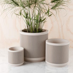 May include: Three cylindrical planters in a light beige color, each featuring a vertical slatted design. The largest planter in the center contains a green plant with thin, spiky leaves. The planters are arranged in a group of three varying sizes.