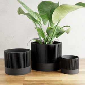 May include: Three black cylindrical planters with a ribbed design. The largest planter holds a green leafy plant.