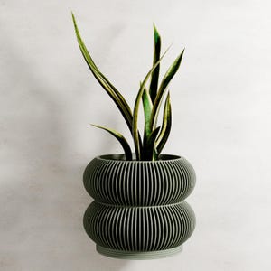 May include: A green, ribbed, two-tiered planter pot holding a snake plant. The snake plant has long, upright leaves with green and yellow stripes. The planter is a muted green color and has a modern, minimalist design.