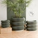 see more listings in the VASE × PLANTERS ↓ section