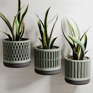 May include: Three wall-mounted cylindrical planters in sage green with dark gray bases, each containing a snake plant. The planters feature distinct geometric relief patterns including lattice, diamond, and vertical ribbed textures on the exterior.