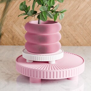 Podium Plant Stand