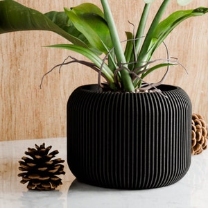 Puede incluir: Una maceta negra con ranuras verticales, que contiene una planta verde de hojas. La maceta está sobre una superficie de madera.