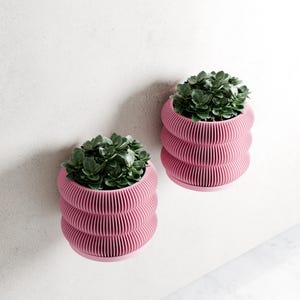 May include: Two pink, ribbed planters with green leafy plants. The planters have a unique, stacked design and sit on a light-colored surface. The plants are lush and add a natural element to the modern aesthetic.