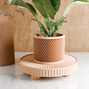 Podium Plant Stand