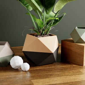 May include: A geometric planter with a black and gold finish holds a green plant with large leaves. The planter is sitting on a wooden table with two smaller white geometric objects.