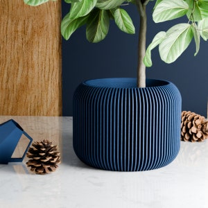 May include: A blue planter with vertical grooves, holding a green leafy plant. The planter is sitting on a white surface.