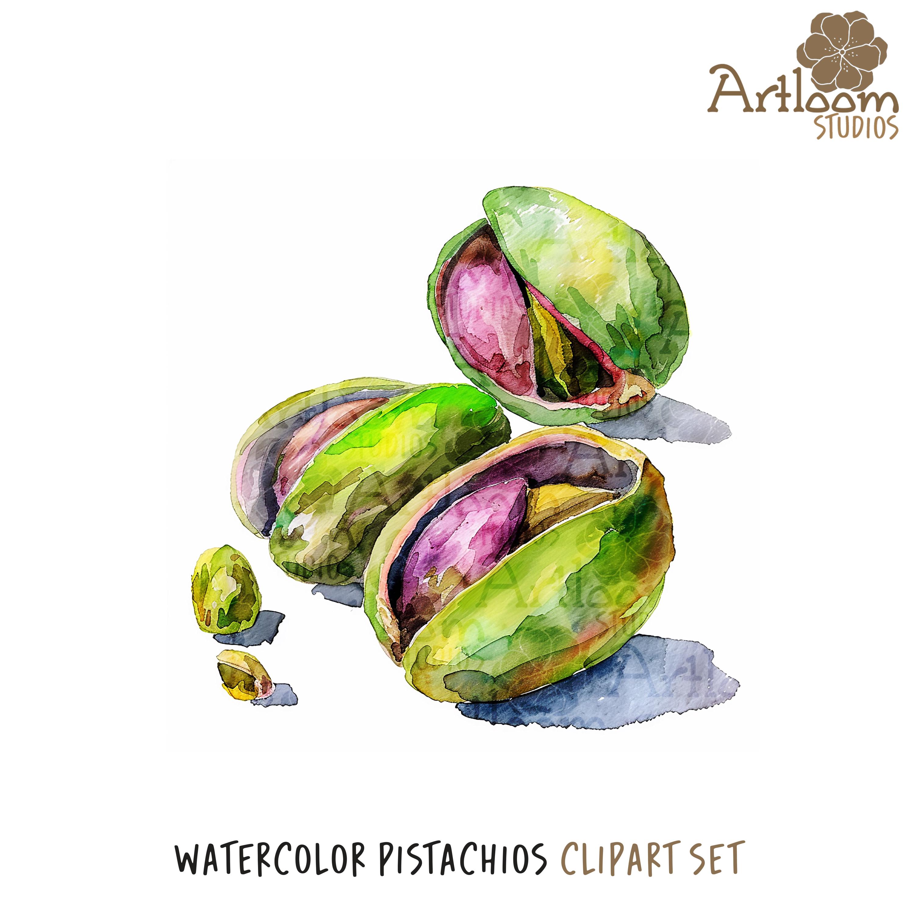 12 Watercolor Pistachios Clip Art Printable Pistachios Images High ...