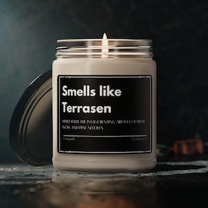 Smells Like Terrasen Candle, Throne of Glass Gift, Book Lover Gift